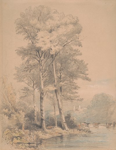 Llandovery Castle, Zuid-Wales door William Alfred Delamotte