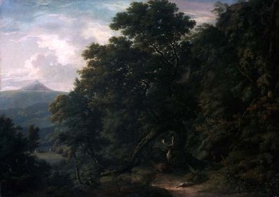Uitzicht op Powerscourt Demesne door William Ashford