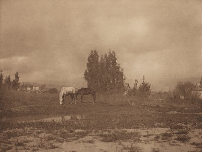 Pasadena Landschap door William B. Post