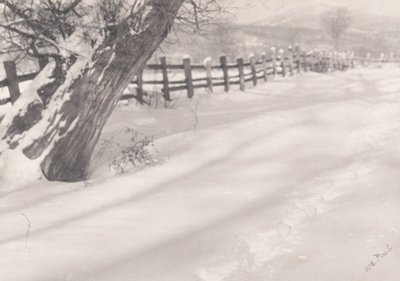 Pad in de sneeuw door William B. Post