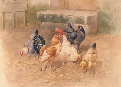 Kippen door William Baptiste Baird