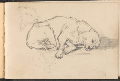 Schets van een slapende hond door William Barnes Wollen