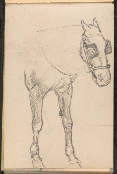 Schets van een paard met oogkleppen door William Barnes Wollen