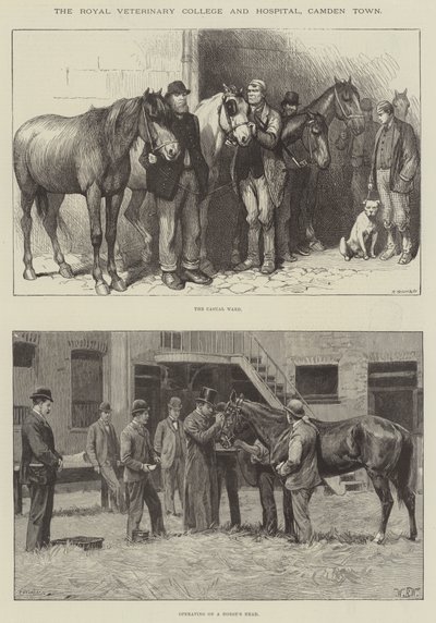 Het Royal Veterinary College en ziekenhuis, Camden Town door William Barnes Wollen