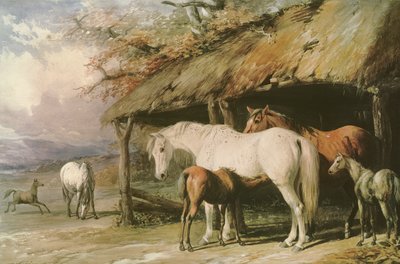 Merries en veulens, 19e eeuw door William Barraud