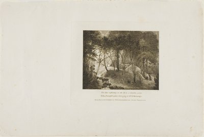 Zon die weerkaatst op de dauw, een tuinscène door William Birch