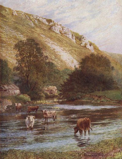 Aan de Wye, Upper Dale Farm, Monsal Dale (kleur litho) door William Biscombe Gardner