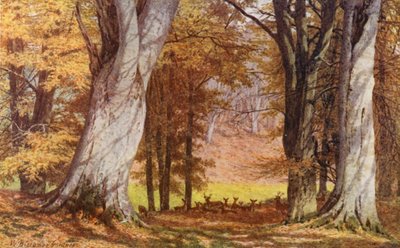 De Wilberforce-eik, Holwood Park, Keston door William Biscombe Gardner