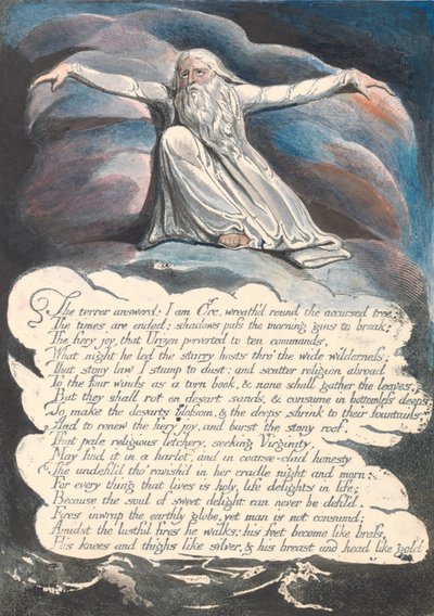 Amerika. Een Profetie, Plaat 10, Het Antwoord van de Angst... door William Blake