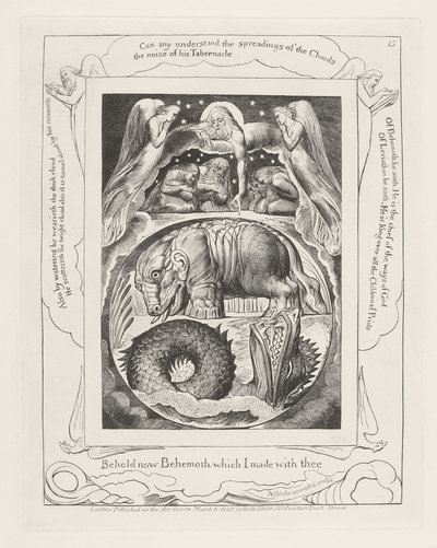 Zie nu Behemoth die ik met u maakte door William Blake