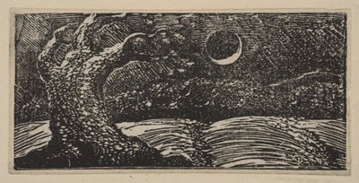 Verwoeste bomen en platgeslagen gewassen, uit Thorntons Pastoralen van Vergilius, 1821 door William Blake