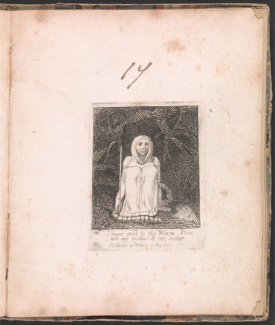 Voor Kinderen. De Poorten van het Paradijs, Plaat 18, Ik heb tegen de Worm gezegd... door William Blake