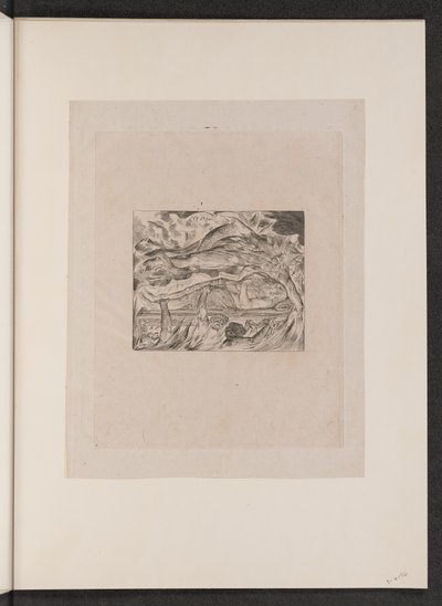 Jobs Kwade Dromen door William Blake