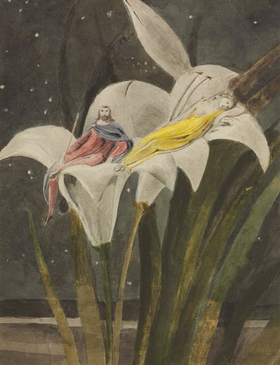 Oberon en Titania op een lelie, ca. 1795 (potlood, pen, inkt, aquarel op papier) door William Blake