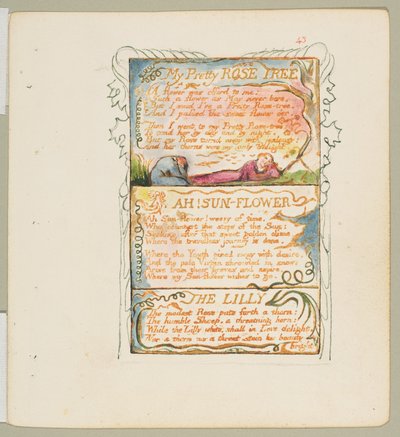 Songs of Innocence and of Experience: My Pretty Rose Tree, Ah! Sun-Flower, The Lily, ca. 1825 door William Blake