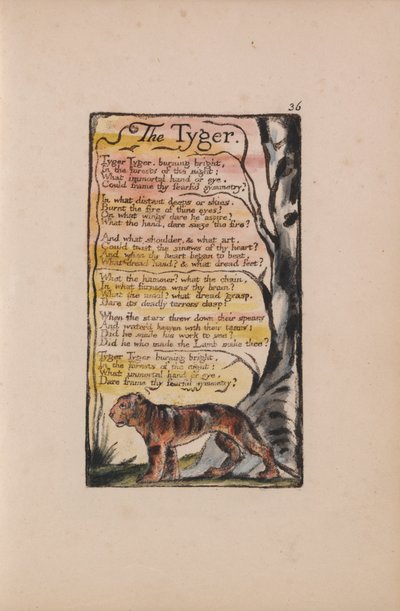 Liederen van Onschuld en Ervaring, Plaat 36, De tijger (Bentley 42) door William Blake