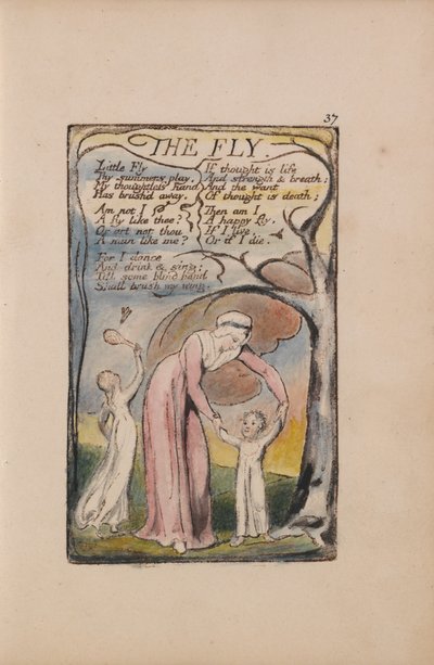 Liederen van Onschuld en Ervaring, Plaat 37, De Vlieg (Bentley 40) door William Blake