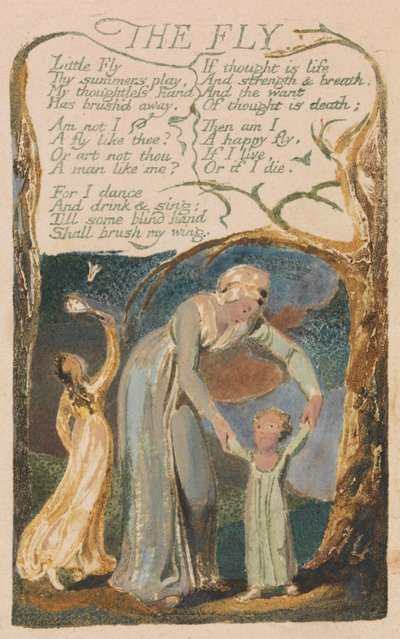 Songs of Innocence and of Experience, Plaat 48, "De Vlieg" (Bentley 40) door William Blake