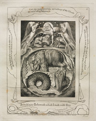 Het Boek Job: Pl. 15, Zie nu Behemoth die ik met jou heb gemaakt door William Blake