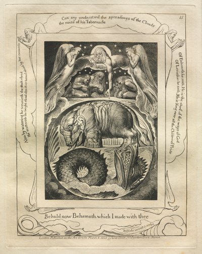 Het Boek van Job: Pl. 15, Zie nu Behemoth die ik met jou maakte, 1825 door William Blake