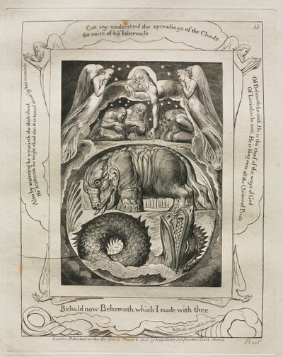 Het Boek van Job: Pl. 15, Zie nu Behemoth die ik met u maakte, 1825 door William Blake