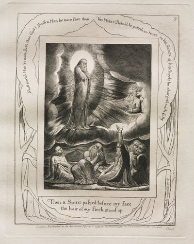 Het Boek van Job: Pl. 9, Toen ging een Geest voor mijn gezicht voorbij het haar van mijn vlees stond overeind, 1825 door William Blake