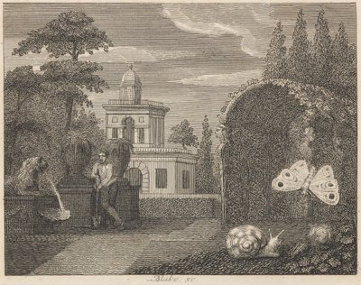 De Vlinder en de Slak door William Blake