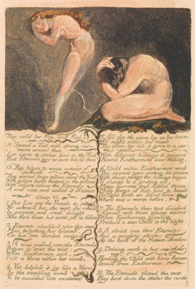 Het eerste boek van Urizen, Plaat 17, Ze noemden haar Medelijden en vluchtten... (Bentley 19) door William Blake