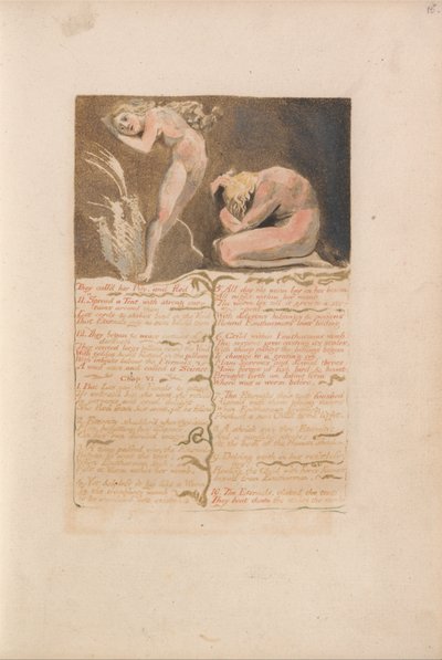 Het Eerste Boek van Urizen, Plaat 19, Ze Noemden Haar Medelijden en Vluchtten.... (Bentley 19) door William Blake