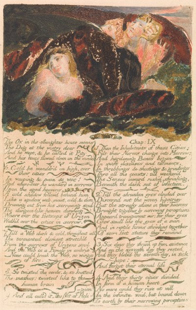 Het eerste boek van Urizen, plaat 23: "De os in het slachthuis jammert..." (Bentley 25) door William Blake