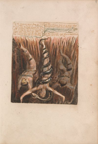 The First Book of Urizen, Plaat 9, As the Stars Are Apart from the Earth.... (Bentley 6) door William Blake