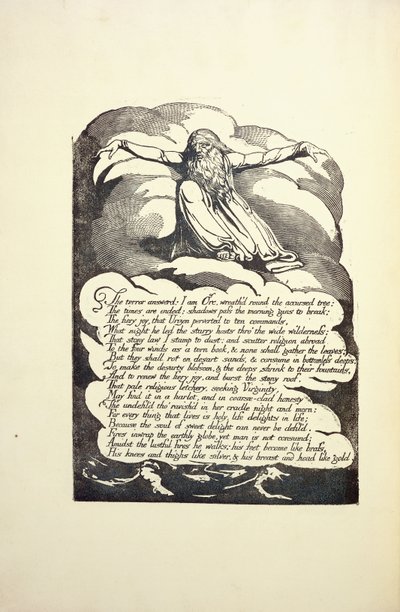 Het Beantwoorde Terror, midden 1790s door William Blake