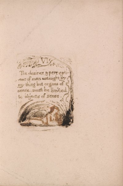 Er is geen natuurlijke religie, Plaat 8, VI De verlangens en waarnemingen.... (Bentley a9) door William Blake