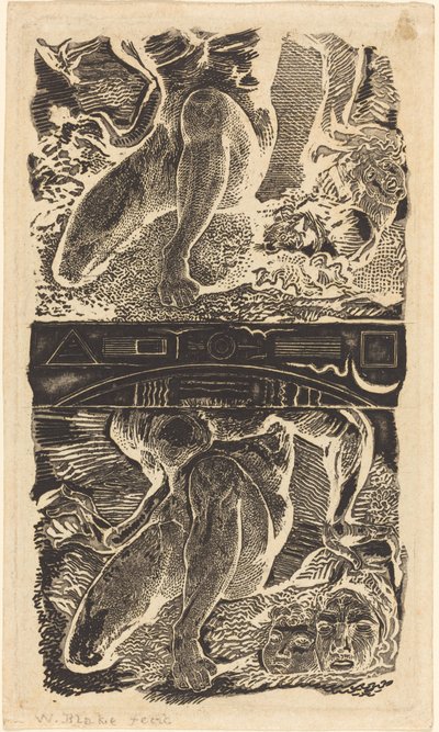 Onbekend Onderwerp door William Blake