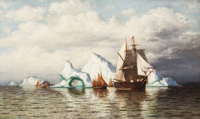 Tussen de ijsbergen, kust in Labrador door William Bradford