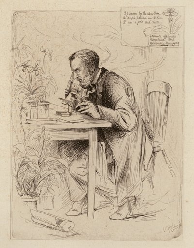 Alexander Dickson, professor in de botanie (gravure) door William Brassey (after) Hole