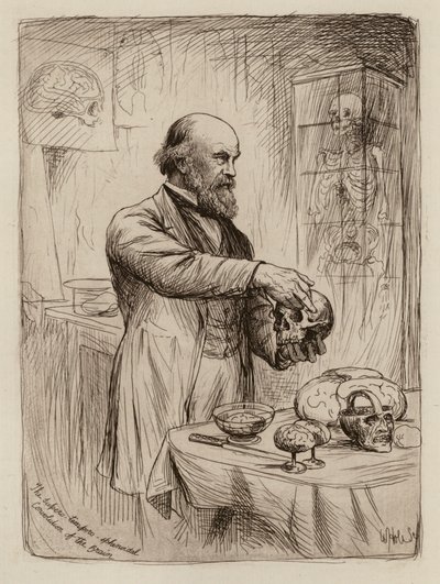 William Turner, Professor in Anatomie door William Brassey (after) Hole