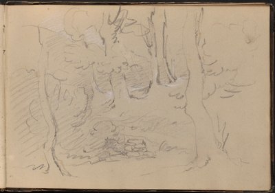 Schets van een groep bomen door William Brockedon