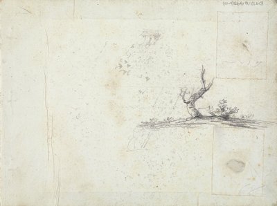 binnenkant voorkaft: Schets van een boom (omgekeerd) door William Brockedon