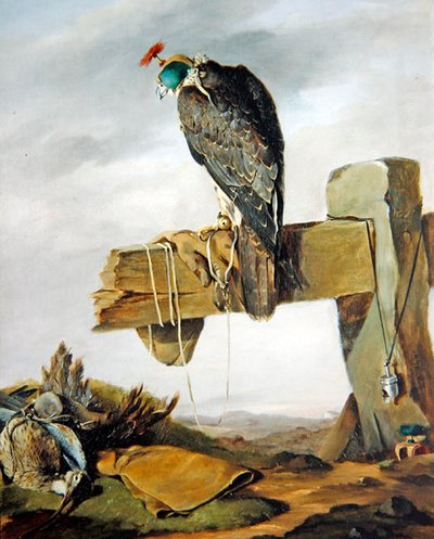 Een Slechtvalk in zijn Kap met een Wulp op de Grond door William Brodrick
