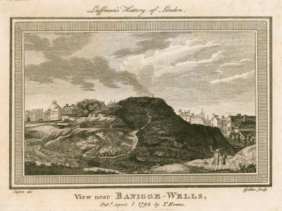 Uitzicht op Bagnigge Wells, nabij Battle Bridge, Islington, Londen door William Capon