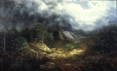 Storm Over de Blue Ridge door William Charles Anthony Frerichs