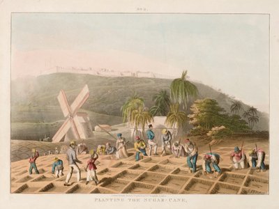 Het planten van suikerriet, c.1820 door William Clark