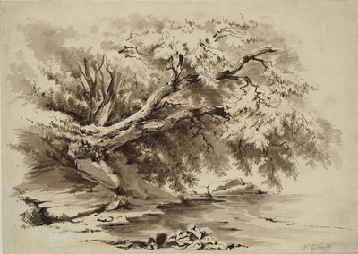 Landschap met bomen die over een meer hangen door William Collingwood Smith