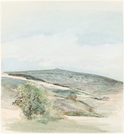 Een heide in Sussex door William Collins