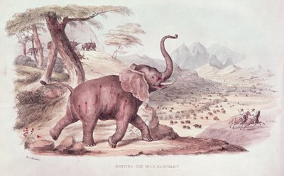 Jacht op de Wilde Olifant, illustratie uit 