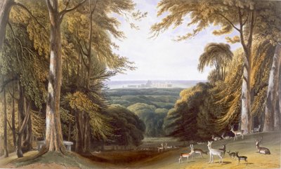 Glen in Windsor Park bij Bishops Gate door William Daniell