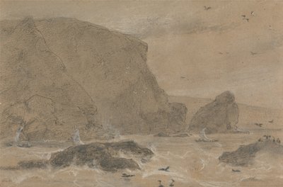 Rots met zeekraal, St. Agnes, Cornwall door William Daniell
