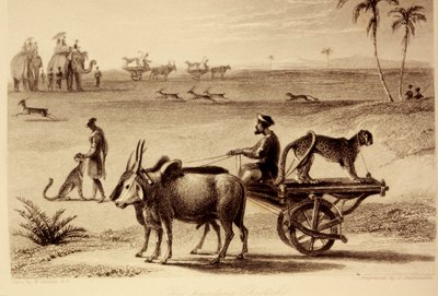 De jachtluipaarden door William Daniell