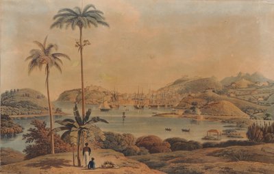 Uitzicht op de stad St. George en Richmond Heights op het eiland Grenada, genomen vanaf de baai door luitenant-kolonel Wilson, 1819 door William Daniell